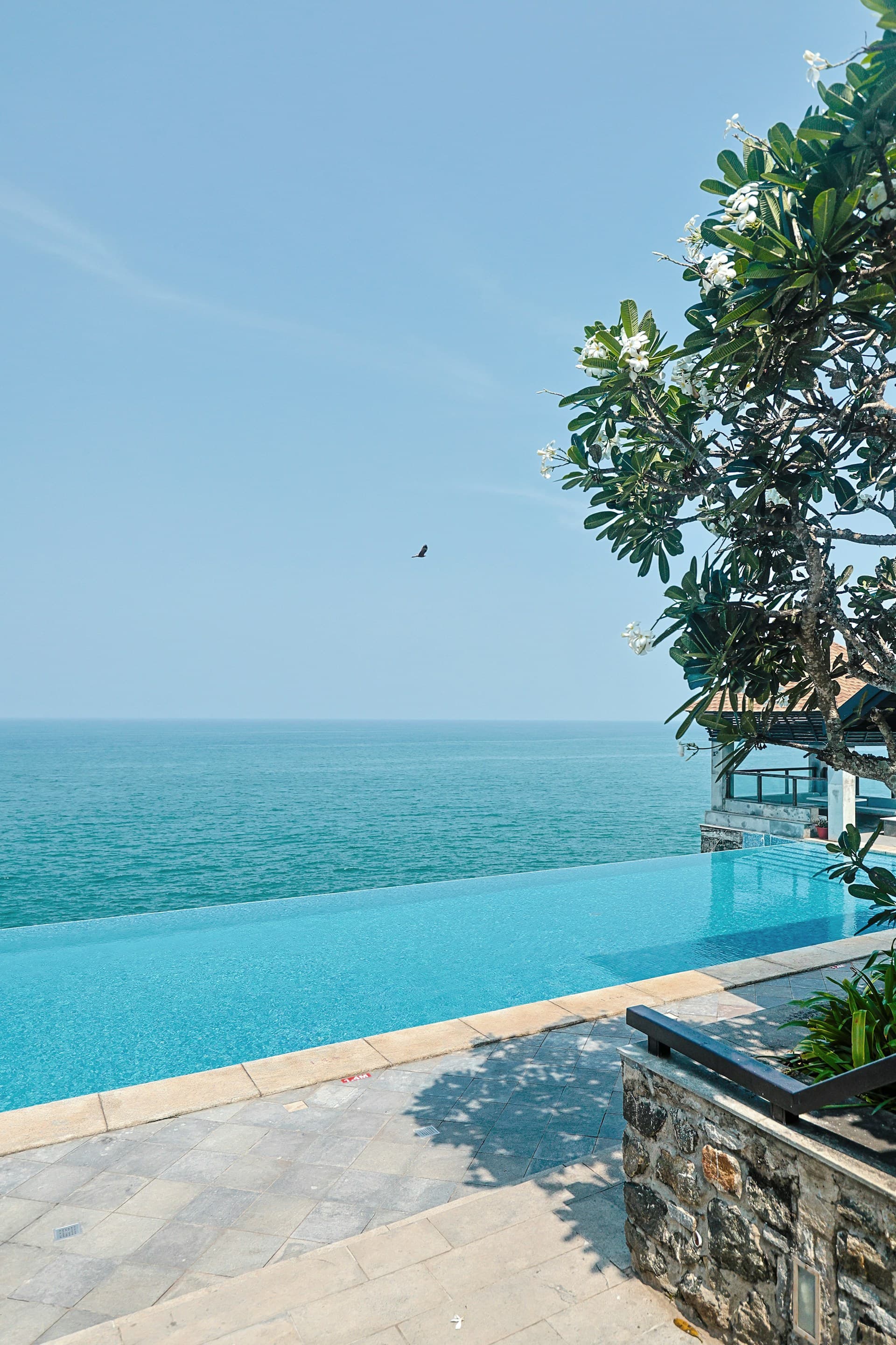 Luxury Wilderness Package 4